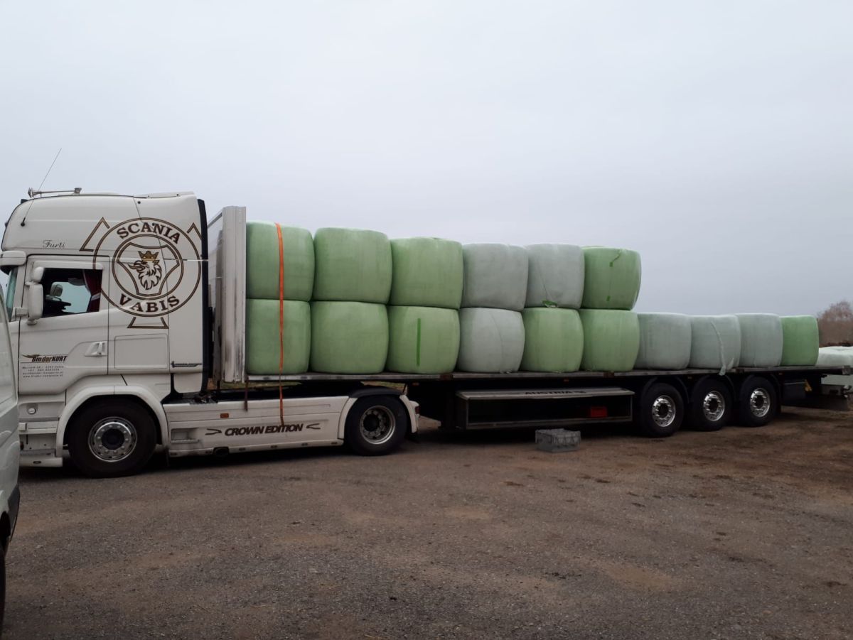 Transporte